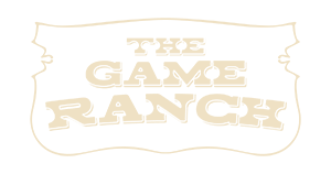 Recharge Banner